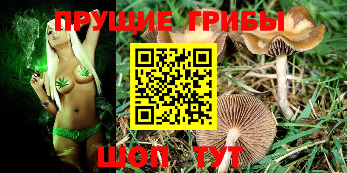 Галлюциногенные грибы GOLDEN TEACHER Тихвин